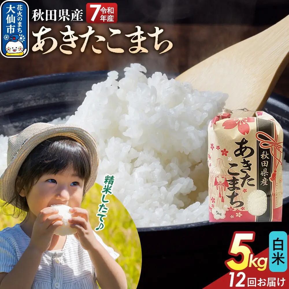 《定期便12ヶ月》【白米】あきたこまち 5kg 秋田県産 令和7年産  こまちライン 秋田県 大仙市産