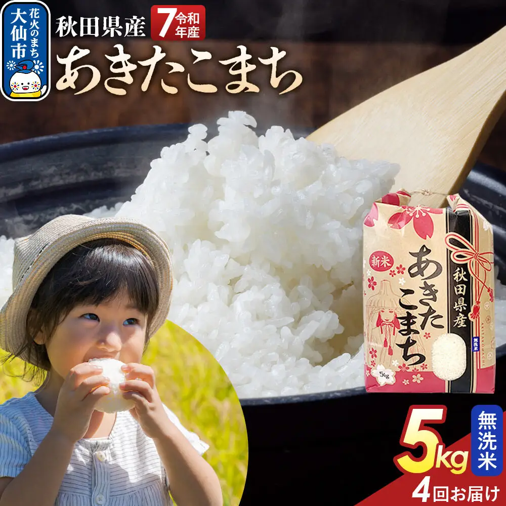 《定期便4ヶ月》【無洗米】あきたこまち 5kg 秋田県産 令和7年産  こまちライン 秋田県 大仙市産