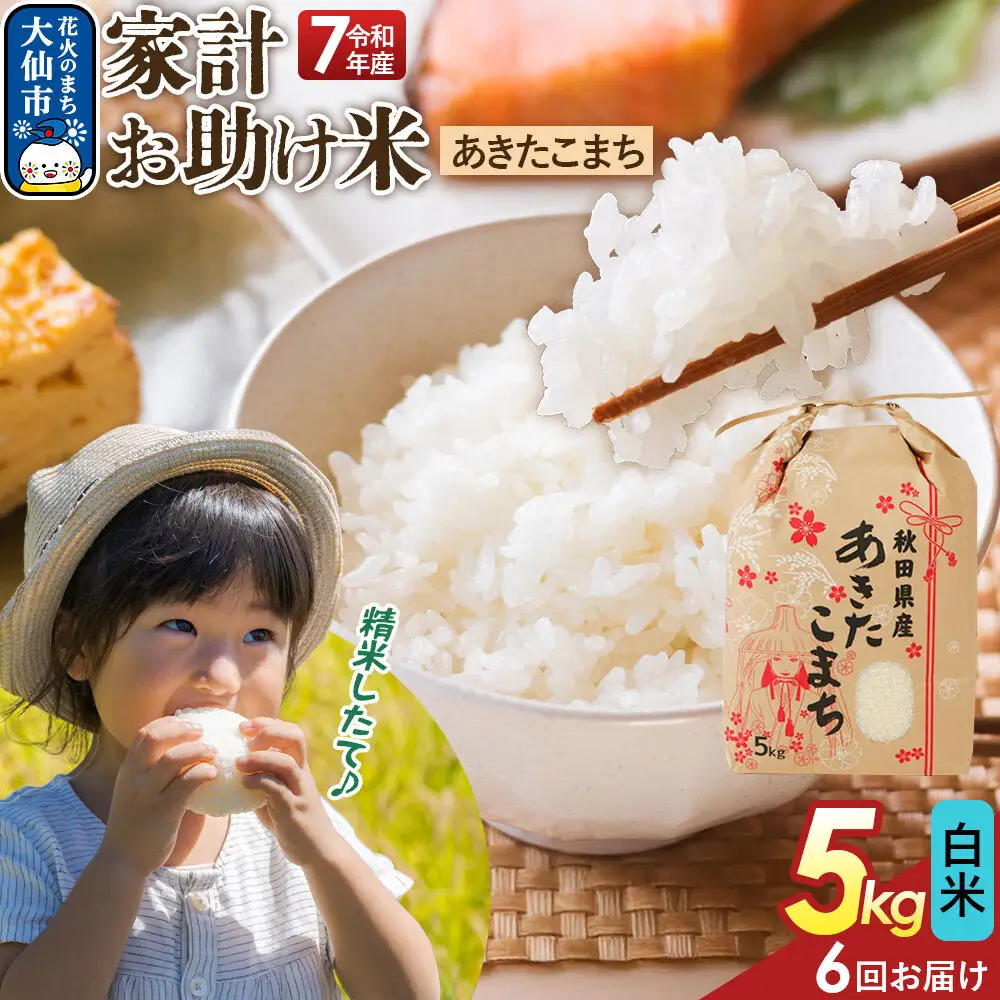《定期便6ヶ月》【白米】家計お助け米 あきたこまち 5kg 秋田県産 令和7年産  こまちライン 秋田県 大仙市産