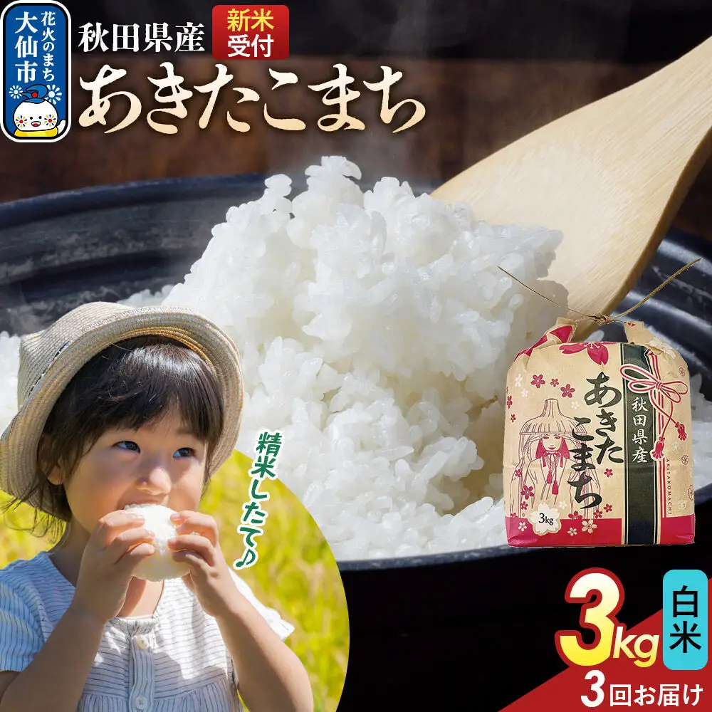 《令和8年産新米予約》 《定期便3ヶ月》あきたこまち【白米】3kg 秋田県産 こまちライン 秋田県 大仙市産