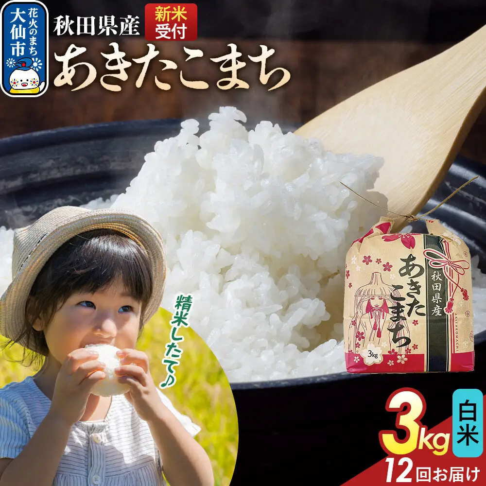 《令和8年産新米予約》 《定期便12ヶ月》あきたこまち【白米】3kg 秋田県産 こまちライン 秋田県 大仙市産