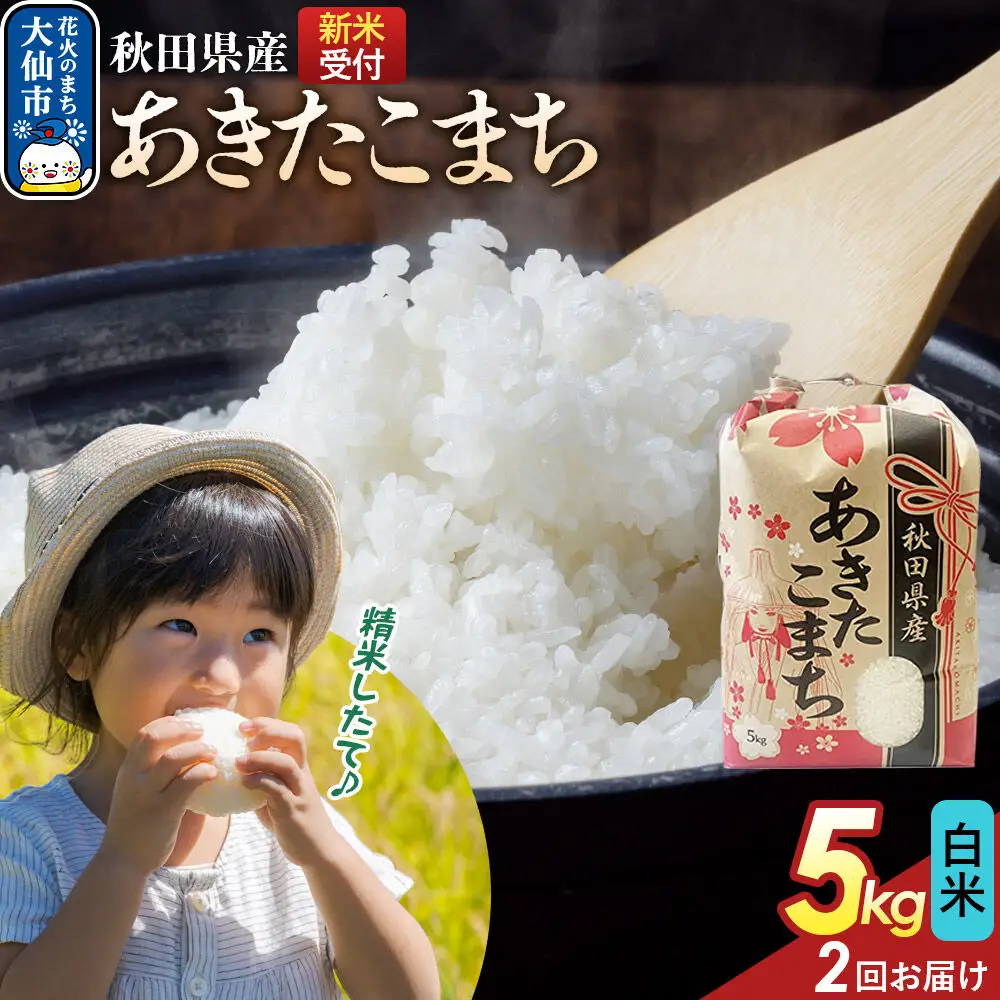 《令和8年産新米予約》 《定期便2ヶ月》【白米】あきたこまち 5kg 秋田県産  こまちライン 秋田県 大仙市産
