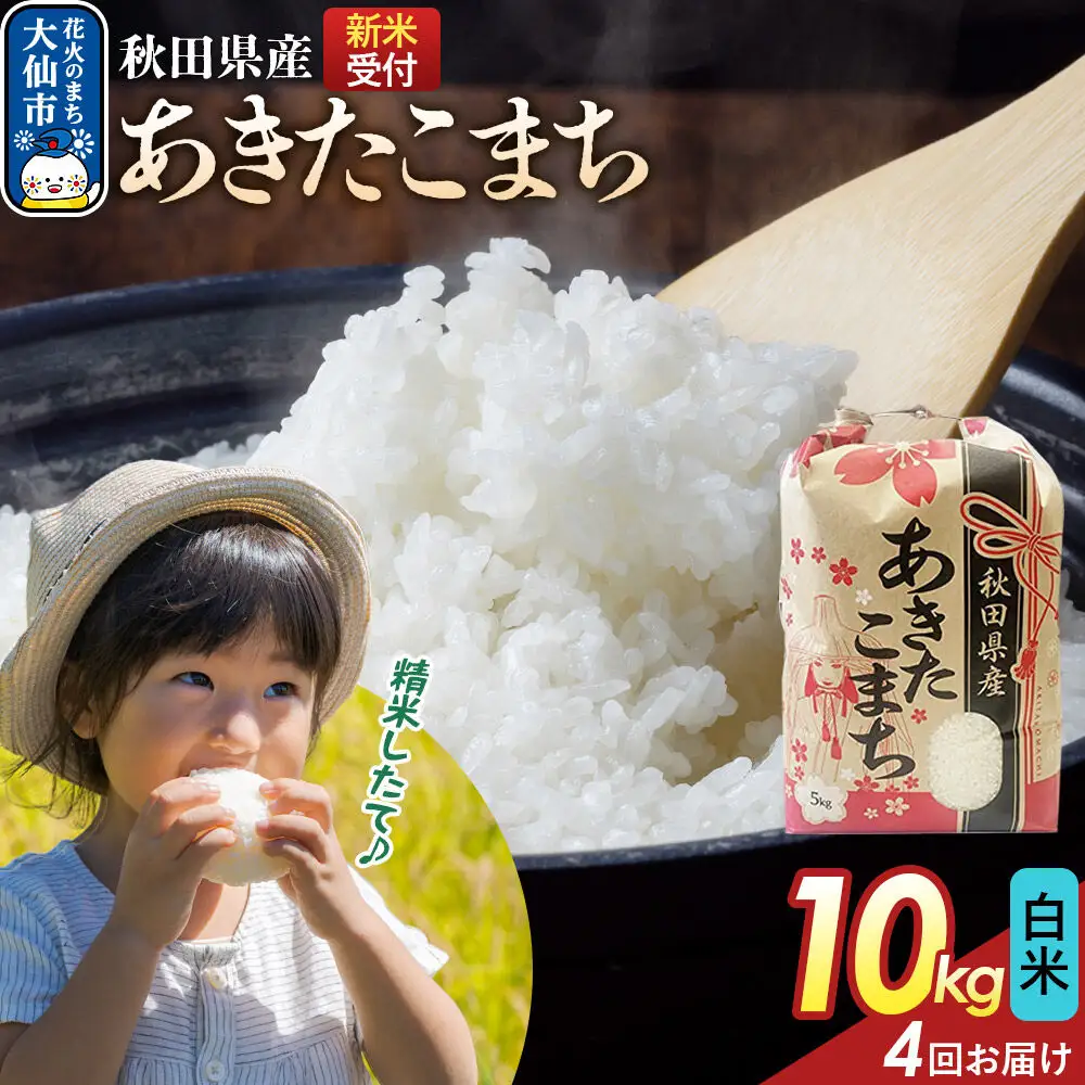 《令和8年産新米予約》 《定期便4ヶ月》【白米】あきたこまち 10kg（5kg×2） 秋田県産  こまちライン 秋田県 大仙市産