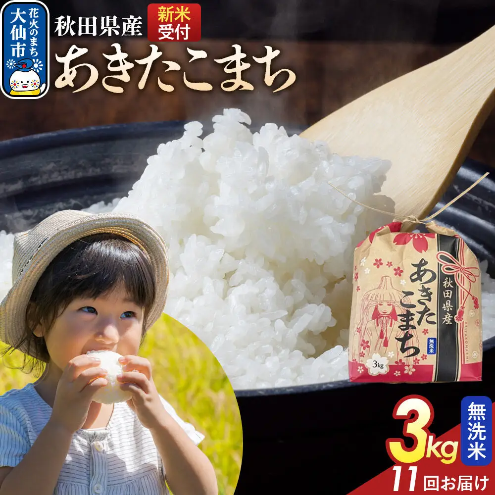 《令和8年産新米予約》 《定期便11ヶ月》あきたこまち【無洗米】3kg 秋田県産 こまちライン 秋田県 大仙市産