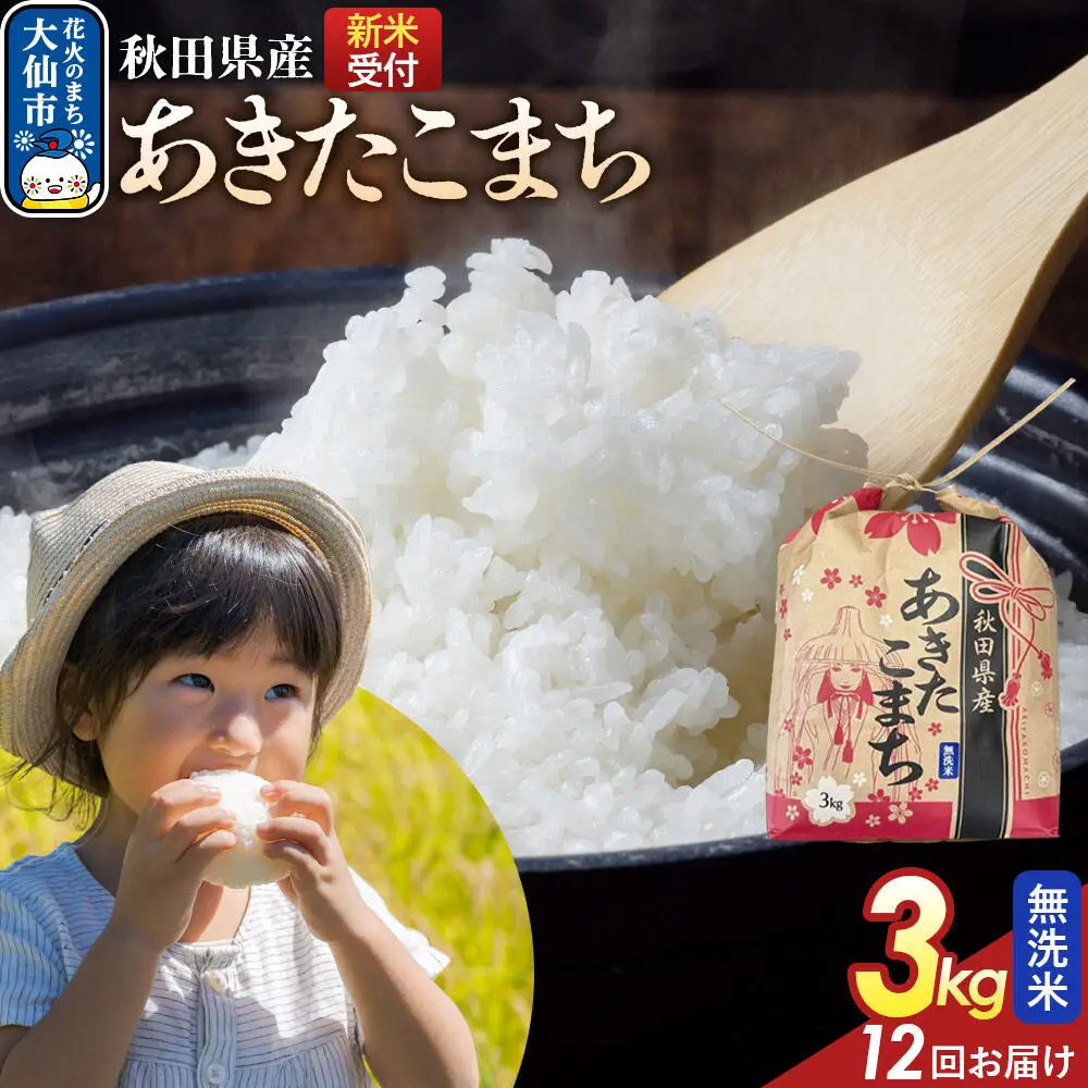 《令和8年産新米予約》 《定期便12ヶ月》あきたこまち【無洗米】3kg 秋田県産 こまちライン 秋田県 大仙市産