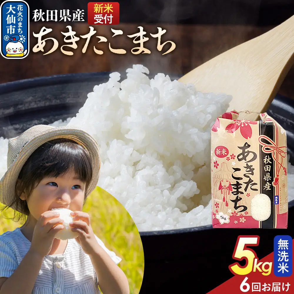 《令和8年産新米予約》 《定期便6ヶ月》【無洗米】あきたこまち 5kg 秋田県産  こまちライン 秋田県 大仙市産