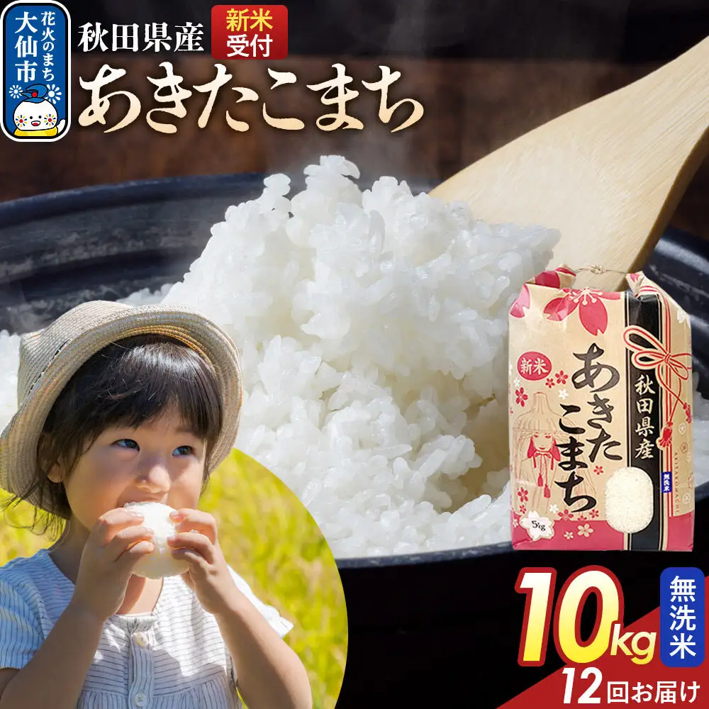 《令和8年産新米予約》 《定期便12ヶ月》【無洗米】あきたこまち 10kg（5kg×2） 秋田県産  こまちライン 秋田県 大仙市産