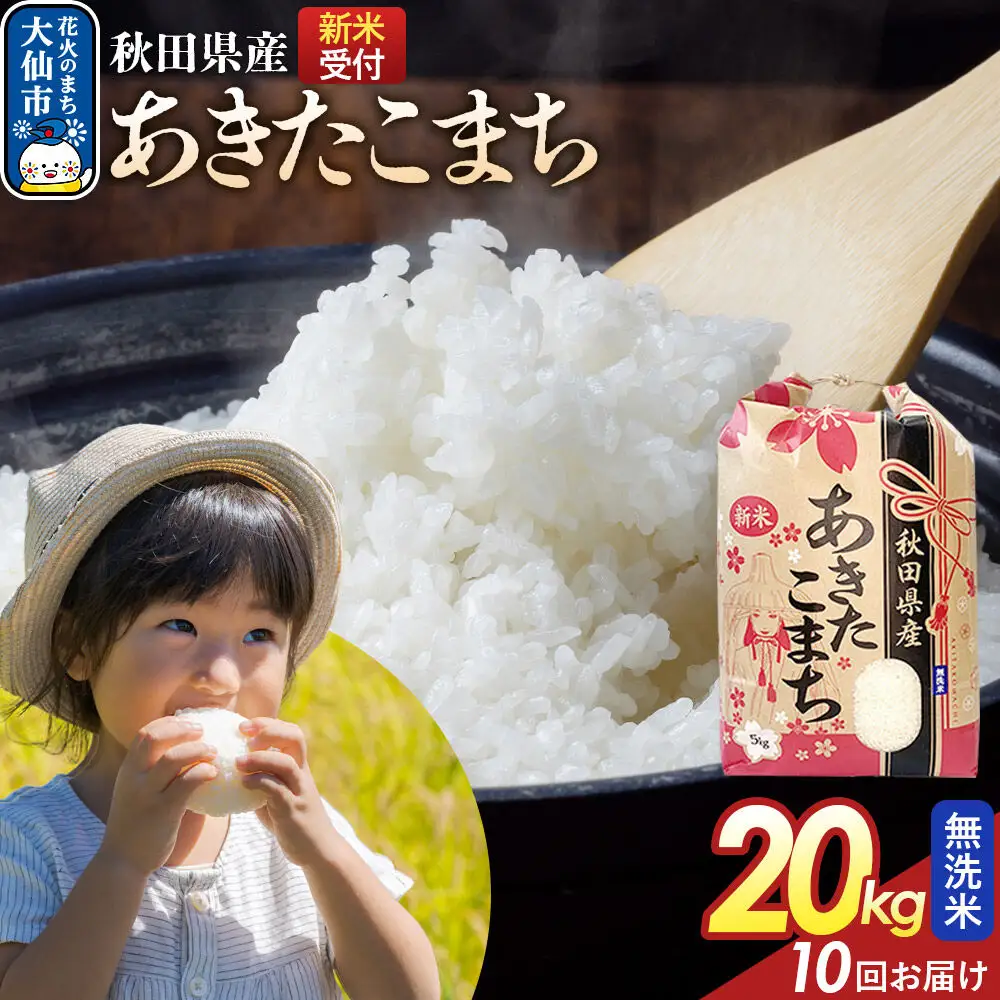 《令和8年産新米予約》 《定期便10ヶ月》【無洗米】あきたこまち 20kg（5kg×4） 秋田県産  こまちライン 秋田県 大仙市産