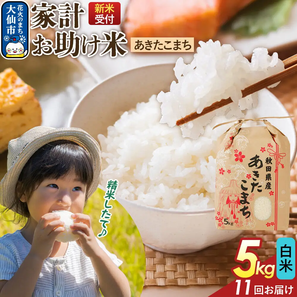 《令和8年産新米予約》 《定期便11ヶ月》【白米】家計お助け米 あきたこまち 5kg 秋田県産  こまちライン 秋田県 大仙市産