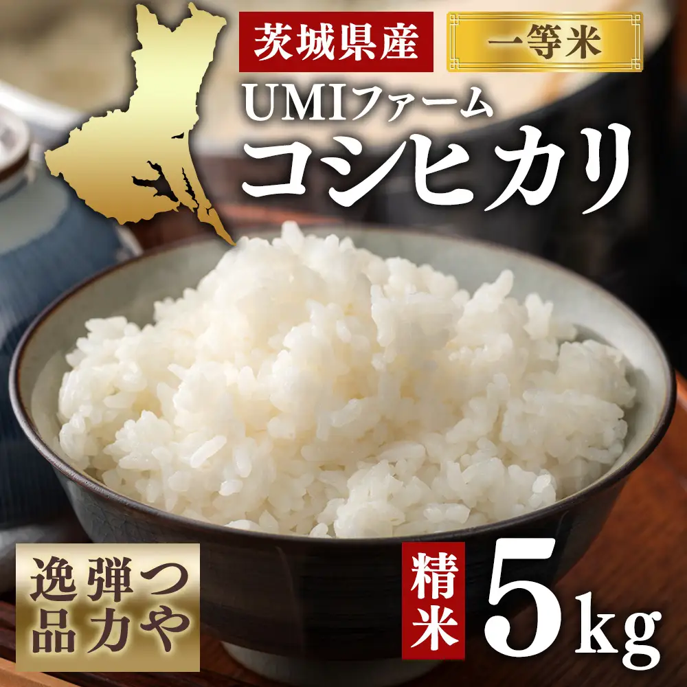 令和7年産　茨城県産コシヒカリ一等米　精米５㎏　つや、弾力逸品