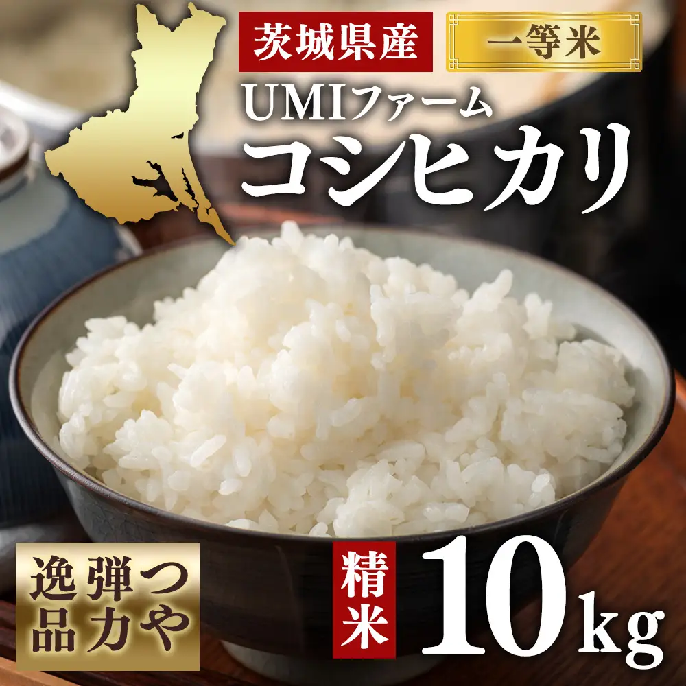 令和7年産　茨城県産コシヒカリ一等米　精米10㎏　つや、弾力逸品