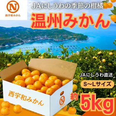 【先行受付】JAにしうわ直送　にしうわ温州みかん　約5kg【C08-97】YWTV050