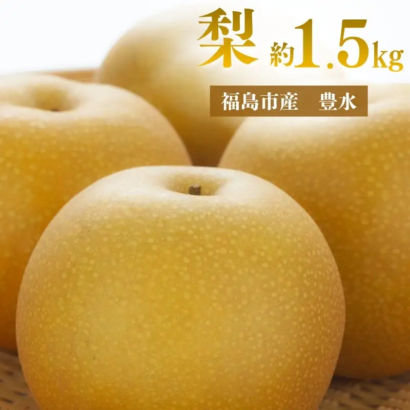 No.3367 アグリード 福島市産 梨（豊水） 約1.5kg（3～5玉）【2026年発送】