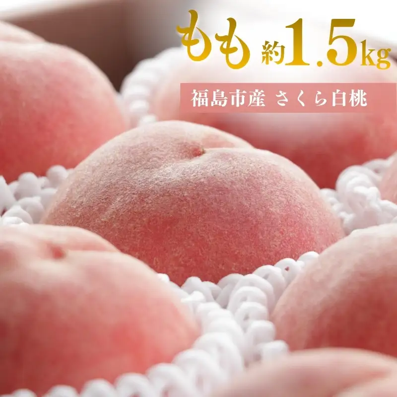 No.3370 アグリード 福島の桃（さくら白桃）晩成種 約1.5kg(3～5玉）【2026年発送】