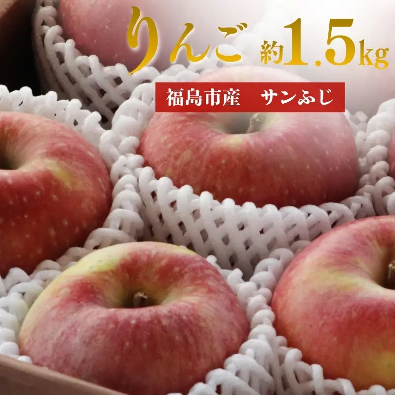 No.3374 アグリード 福島市産 りんご（サンフジ）約1.5kg（3～6玉）【2026年発送】