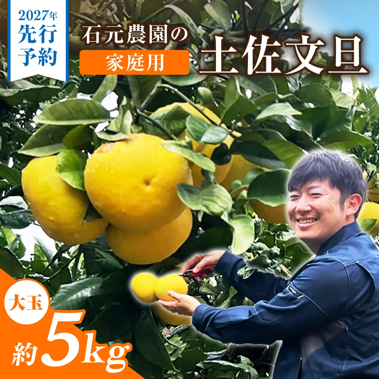 【先行予約】石元農園の土佐文旦 家庭用 大玉 約5キロ ＜2027年2月～発送＞ /  5kg 3Lサイズ 4Lサイズ 文旦 ぶんたん 柑橘 かんきつ みかん フルーツ デザート 果物 高知 【石元農園】[BQBH005]