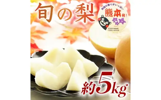 各種梨おまかせ （ 幸水、 豊水、 秋月、 新高、 新興、 秋麗、 甘太、 凛果、 にっこり、 愛宕 いずれか ） 約5kg ( 6 ～ 18玉 ) 梨 なし ナシ 果物 くだもの フルーツ 果実 果汁 果肉 国産 熊本県産 【 2026年8月上旬から10月上旬発送予定 】