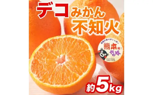 不知火 （ デコポン同品種 ） 12 ～ 24玉 約5kg デコポン 柑橘系 柑橘類 柑橘 果物 くだもの フルーツ 果実 果汁 果肉 国産 熊本県産 【 2027年2月上旬から4月上旬発送予定 】