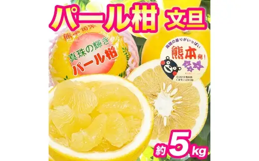 パール柑 約5kg 柑橘系 柑橘類 柑橘 果物 くだもの フルーツ 果実 果汁 果肉 国産 熊本県産 【 2027年3月上旬から3月下旬発送予定 】