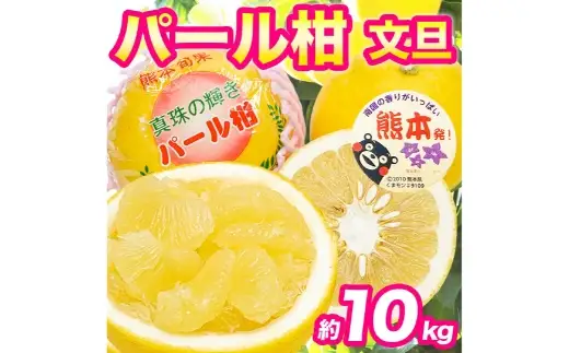 パール柑 約10kg 柑橘系 柑橘類 柑橘 果物 くだもの フルーツ 果実 果汁 果肉 国産 熊本県産 【 2027年3月上旬から3月下旬発送予定 】
