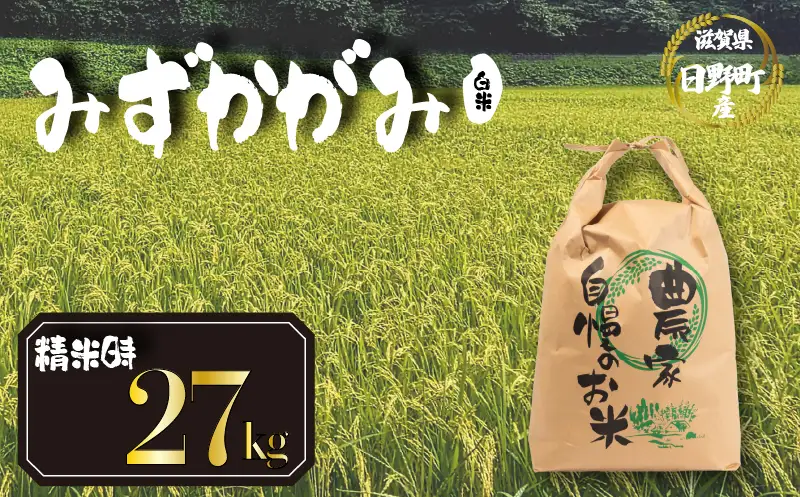 【先行予約】令和8年産 新米 みずかがみ 27kg 白米 米 【KW014】 近江米 精米