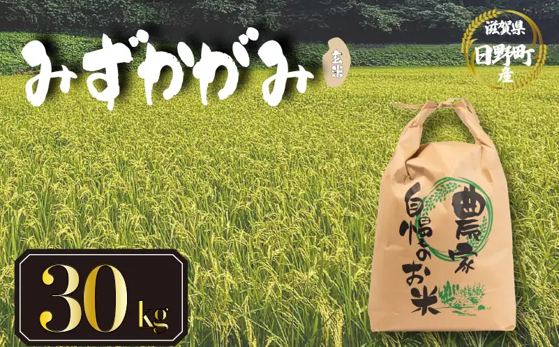【先行予約】令和8年産 新米 みずかがみ 30kg 玄米 米 【KW028】 近江米