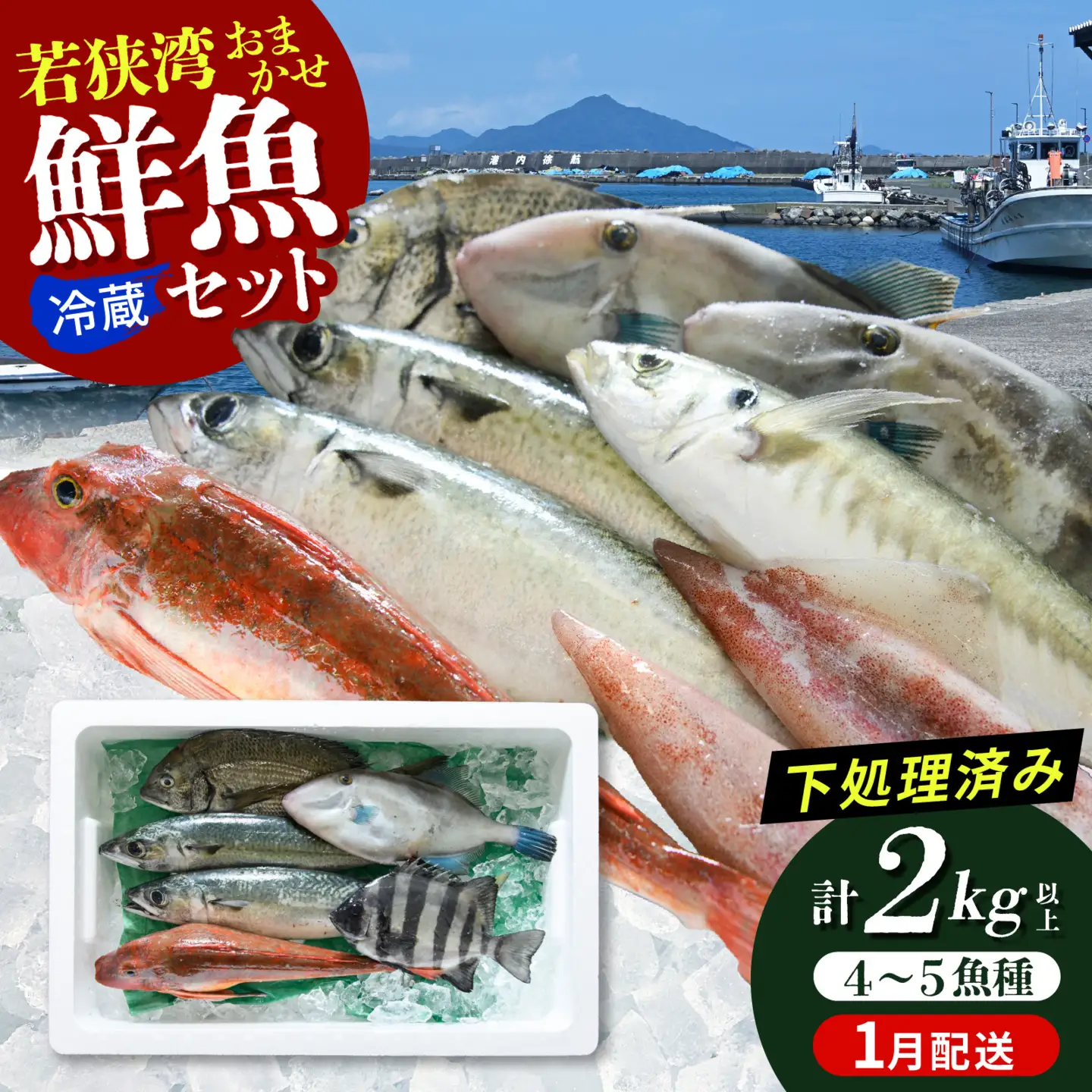 若狭湾鮮魚セットおまかせ2kg以上（4～5魚種）【1月発送】