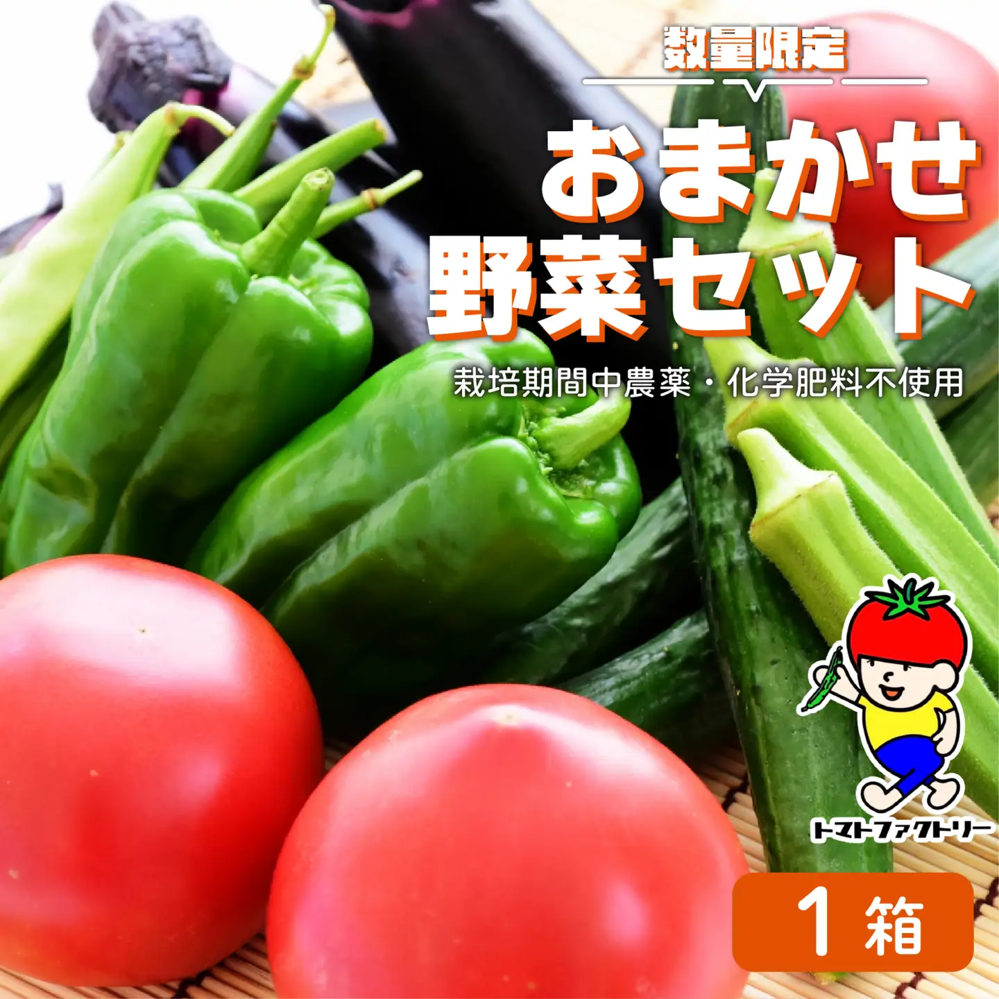【数量限定】 おまかせ野菜セット 1箱 トマトファクトリー 野菜 トマト きゅうり 白菜 オクラ じゃがいも 玉ねぎ なす 詰め合わせ