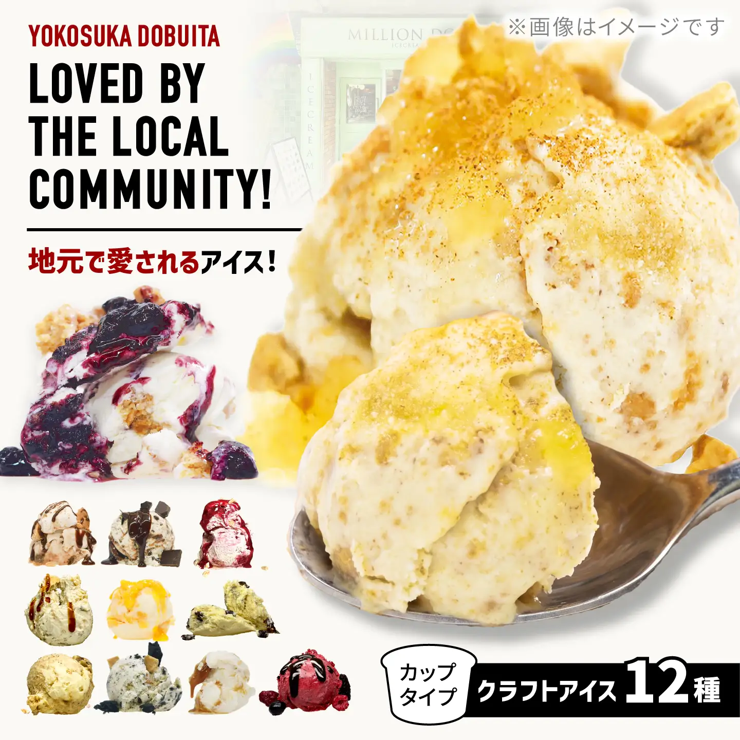 ミリオンダラーアイスクリーム12種【株式会社DADA GLOBAL】[AKHW002]