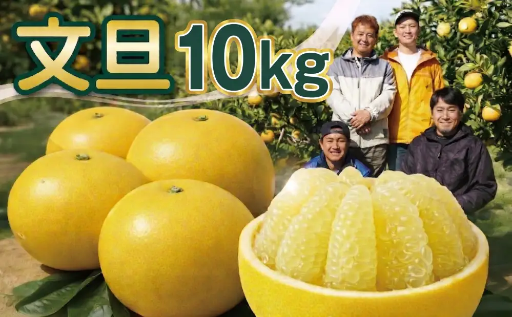 極み 土佐文旦 家庭用 10kg 文旦