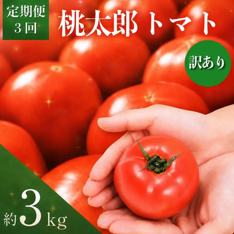 【2027年2月~発送】定期便 3回 訳ありトマト 3kg とまと  桃太郎トマト 野菜 果物 やさい 産地直送 農家直送