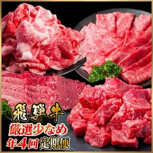 【発送月固定定期便】飛騨牛厳選少なめ定期便 計1.5kg 全4回【配送不可地域：離島】【4090773】