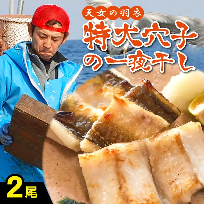 特厚 特大 穴子 一夜干し 2尾 50cm前後【あなご一夜干し 50cm前後 2尾 2枚 穴子干物 穴子 アナゴ あなご 干物 一夜干し 特大サイズ 無添加 天日塩 新鮮 冷凍 真空パック 贈答 父の日 母の日】