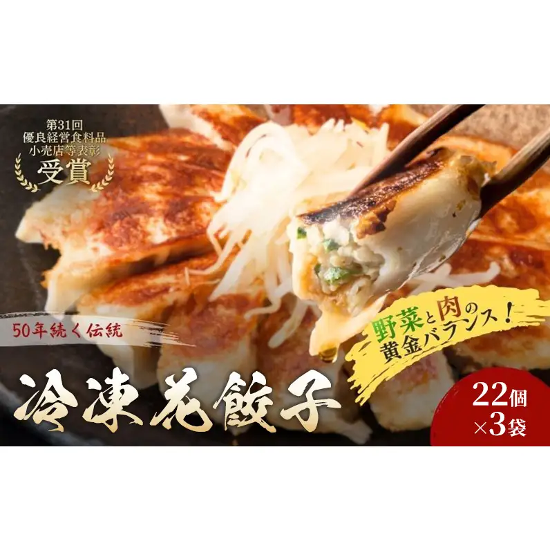 冷凍花餃子66個(22個×3袋) 餃子 冷凍餃子 冷凍ギョーザ 手作り餃子 ギョーザ 点心 中華 中華料理 惣菜 簡単調理 加工食品 静岡県 森町