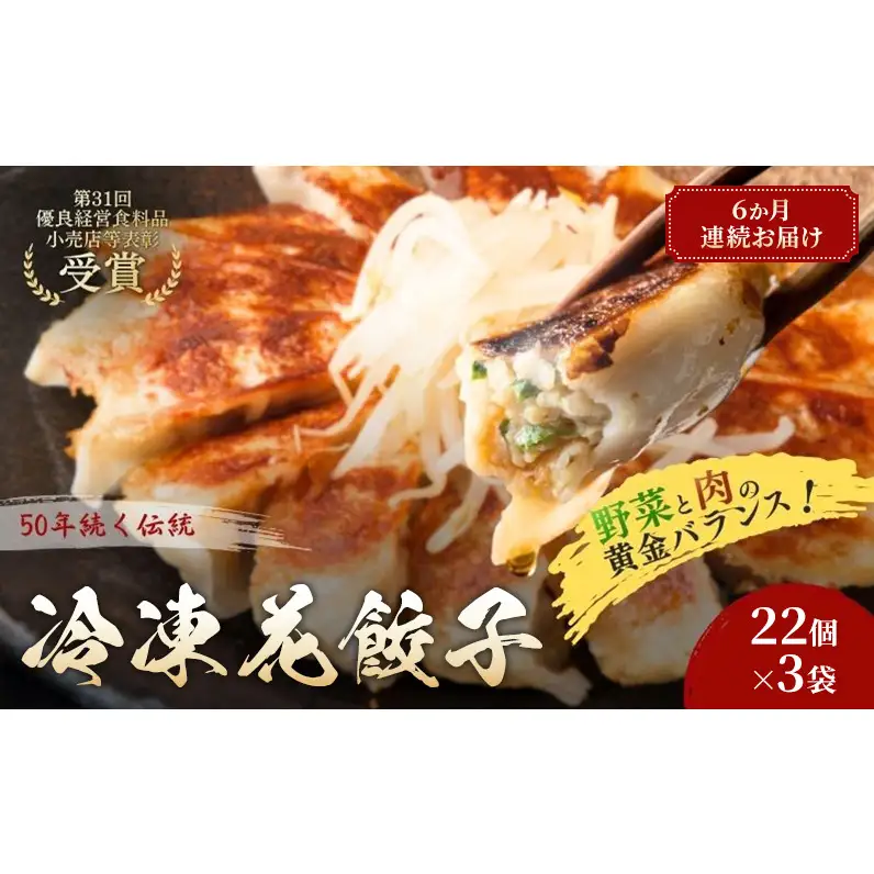 冷凍花餃子66個(22個×3袋)6か月連続お届け 餃子 冷凍餃子 冷凍ギョーザ 手作り餃子 ギョーザ 点心 中華 中華料理 惣菜 簡単調理 加工食品 静岡県 森町