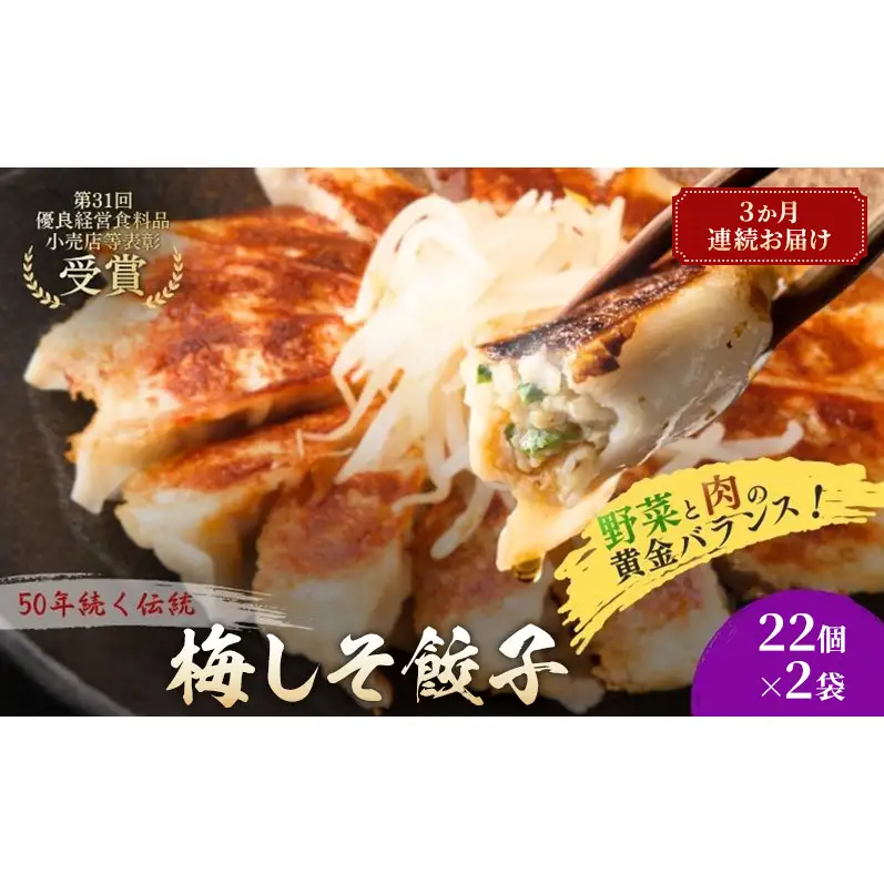 梅しそ餃子44個(22個×2袋)3か月連続お届け 餃子 冷凍餃子 冷凍ギョーザ 手作り餃子 ギョーザ 点心 中華 中華料理 惣菜 簡単調理 加工食品 静岡県 森町