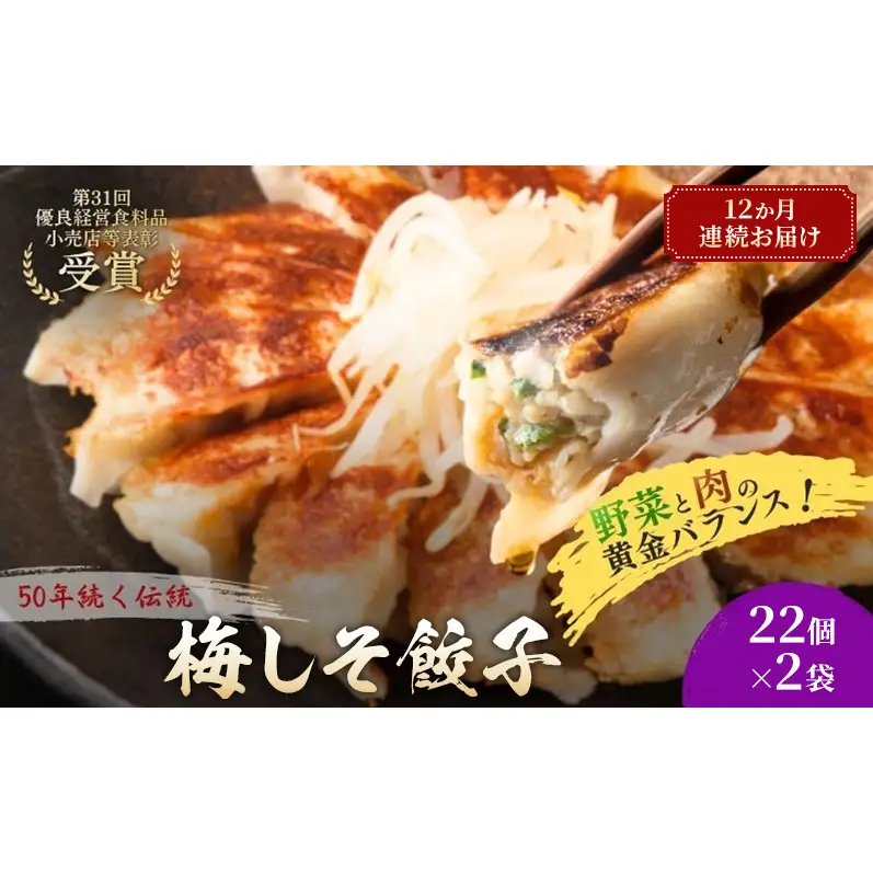 梅しそ餃子44個(22個×2袋)12か月連続お届け 餃子 冷凍餃子 冷凍ギョーザ 手作り餃子 ギョーザ 点心 中華 中華料理 惣菜 簡単調理 加工食品 静岡県 森町
