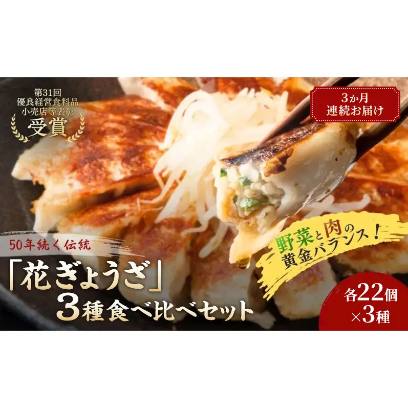 「花ぎょうざ」3種食べ比べセット 66個（各22個×3種）3か月連続お届け 餃子 冷凍餃子 冷凍ギョーザ 手作り餃子 ギョーザ セット 食べ比べ 点心 中華 中華料理 惣菜 簡単調理 加工食品 静岡県 森町