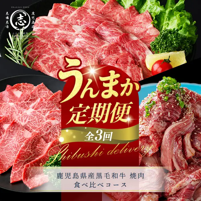 【定期便全3回】鹿児島県産黒毛和牛 焼肉 食べ比べコース！志布志うんまか定期便 牛肉 赤身 肩ロース 焼き肉 炒め物 味付け肉 たれ漬け BBQ 国産 肉 バラエティ セット t0070-011