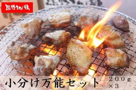 地鶏 カット不要 熊野地鶏 小分け 万能セット 600g(200g×3)【frsn0001】