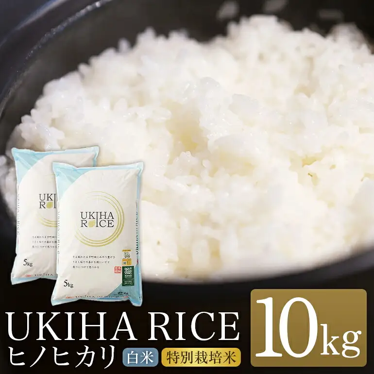 米 白米 精米 UKIHA RICE ヒノヒカリ