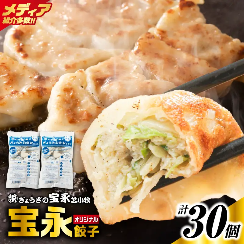 手包み餃子 ぎょうざの宝永 宝永餃子30個セット（宝永餃子15個入×2袋） T004-001-02 惣菜 総菜 餃子