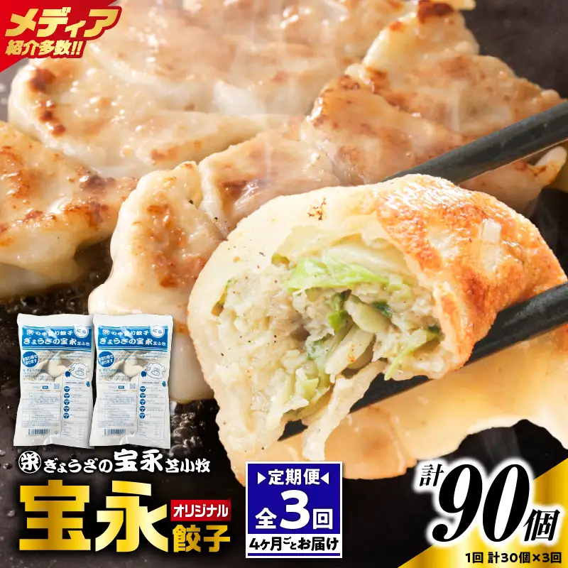 【定期便・全3回 4ヶ月毎】手包み餃子 ぎょうざの宝永 宝永餃子30個セット（宝永餃子15個入×2袋） T004-T01-02-01 定期便 定期 惣菜 総菜 餃子