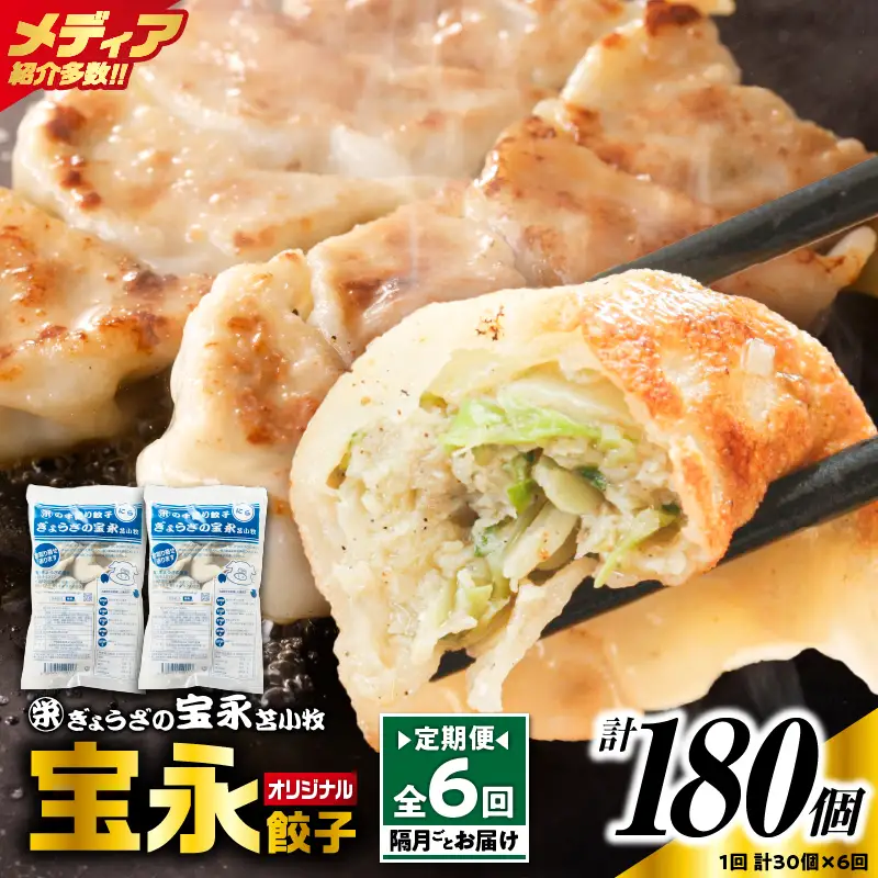 【定期便・全6回 隔月】手包み餃子 ぎょうざの宝永 宝永餃子30個セット（宝永餃子15個入×2袋） T004-T01-02-03 定期便 定期 惣菜 総菜 餃子