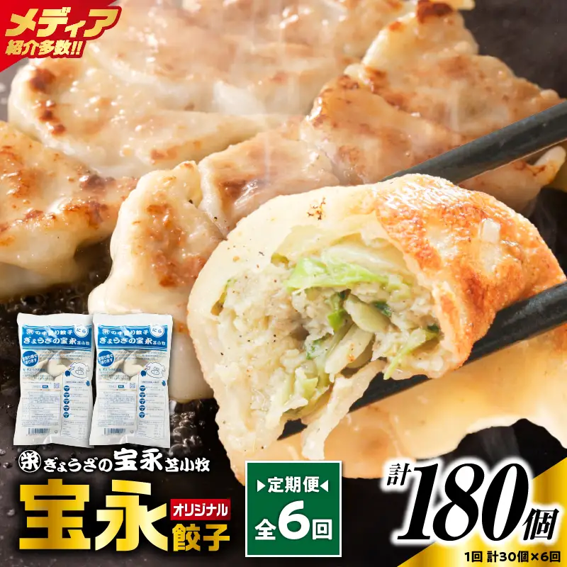 【定期便・全6回 毎月】手包み餃子 ぎょうざの宝永 宝永餃子30個セット（宝永餃子15個入×2袋） T004-T01-02-04 定期便 定期 惣菜 総菜 餃子