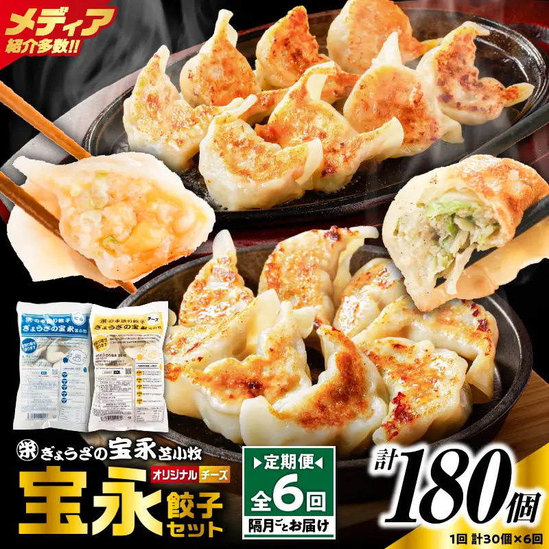 【定期便・全6回 隔月】手包み餃子 ぎょうざの宝永 チーズ餃子30個セット（宝永餃子15個入×1袋・チーズ餃子15個入×1袋） T004-T02-02-03 定期便 定期 惣菜 総菜 餃子