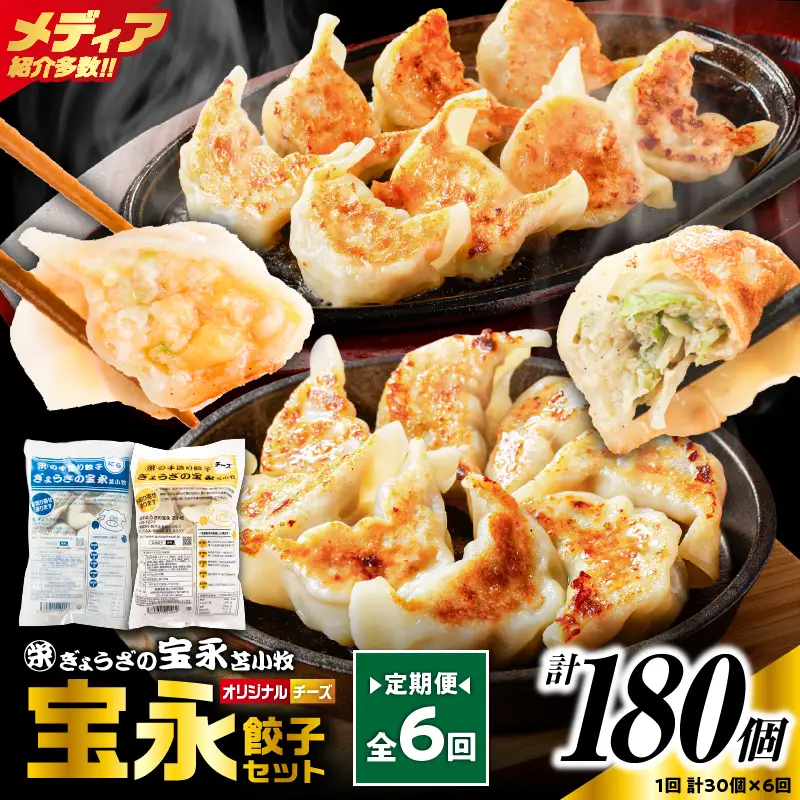【定期便・全6回 毎月】手包み餃子 ぎょうざの宝永 チーズ餃子30個セット（宝永餃子15個入×1袋・チーズ餃子15個入×1袋） T004-T02-02-04 定期便 定期 惣菜 総菜 餃子