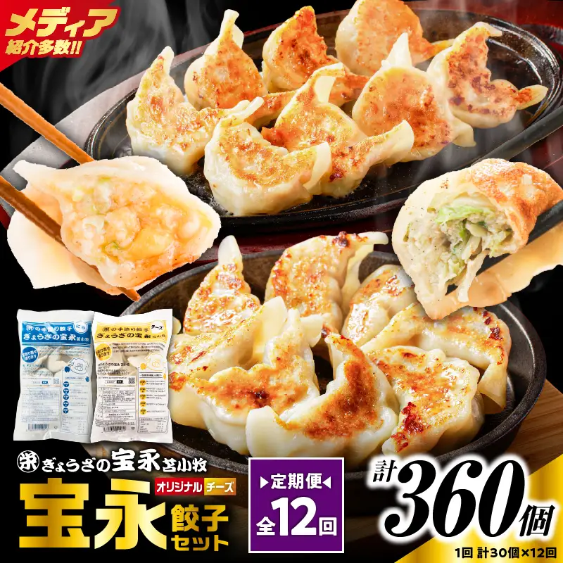 【定期便・全12回 毎月】手包み餃子 ぎょうざの宝永 チーズ餃子30個セット（宝永餃子15個入×1袋・チーズ餃子15個入×1袋） T004-T02-02-05 定期便 定期 惣菜 総菜 餃子