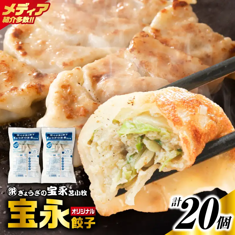 手包み餃子 ぎょうざの宝永 宝永餃子20個セット（宝永餃子10個入×2袋） T004-003-02 惣菜 総菜 餃子