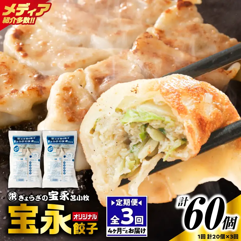 【定期便・全3回  4ヶ月毎】手包み餃子 ぎょうざの宝永 宝永餃子20個セット（宝永餃子10個入×2袋） T004-T03-02-01 定期便 定期 惣菜 総菜 餃子
